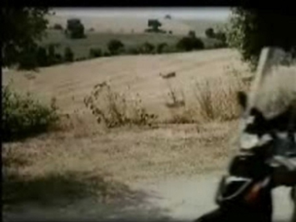 Un Ane  qui a des couilles ...