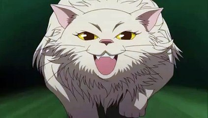 Darker than Black - Epic moment 3