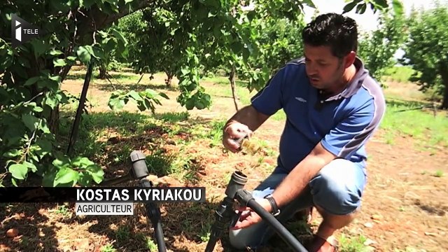 L'inquiétude des agriculteurs grecs avant le référendum