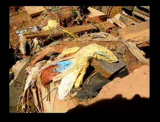 Jornal Local - Carroceiro Vicente Pires