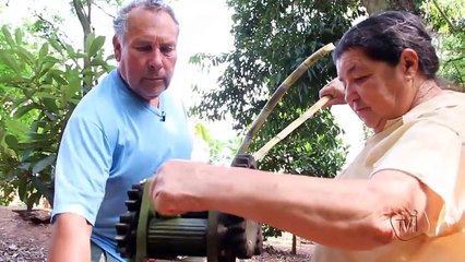 Tranquilidade da vida no campo