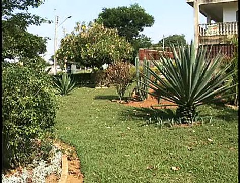 Jornal Local - Lei dos Becos