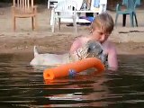 Soft Coated Wheanten Terrier out for a swim