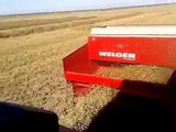 Baling small square bales of straw with Valmet 6600E and Welger baler