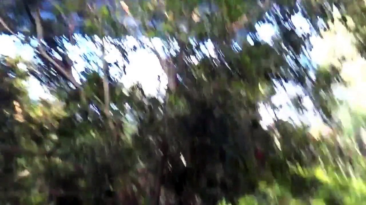 鳥園