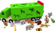 Trucks for children. Learn wild animals in English! Cartoons for babies 1 year