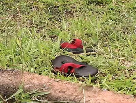 Jornal Local - Morte Gama