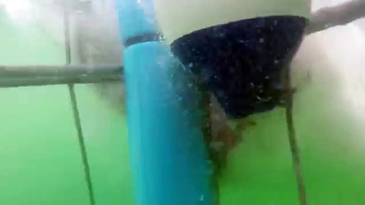 This Shark Attacking A Diving Cage Is All Of Your Nightmares Coming  True GoPro: Man Fights