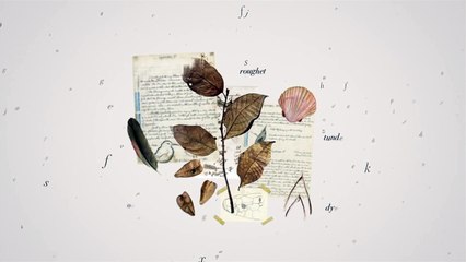 What does language mean to you?