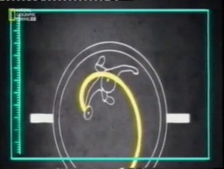 Ciencia para estupidos: Lanzamiento de disco y martillo
