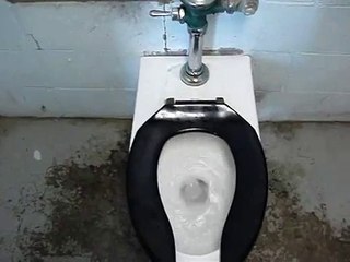 Broken Toilet