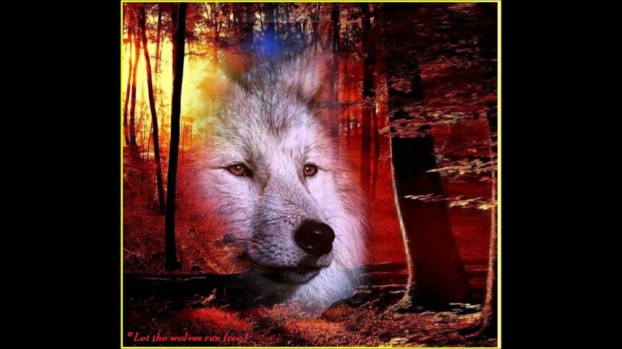 Bright Eyes ........ Simon & Garfunkel