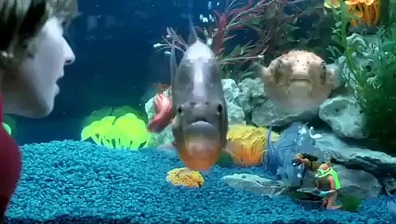 The Chemical Brothers - The Salmon Dance [HQ uncensored promo]