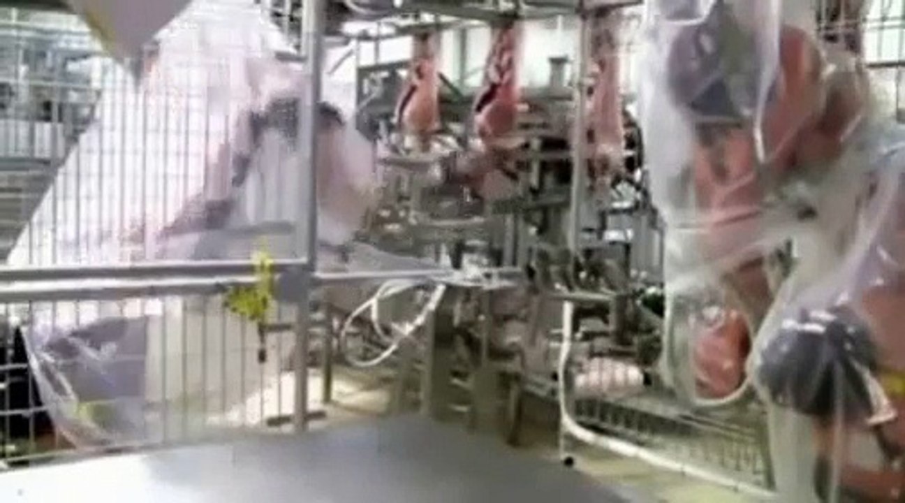 Modern Slaughter House