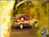 Campeonato de España de Rallyes 1988