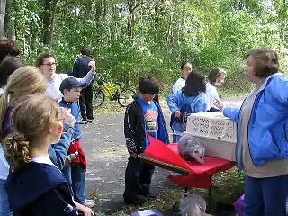 Introductory video of Volunteers for Wildlife