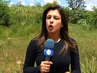 Jornal Local - Estupro Cruzeiro