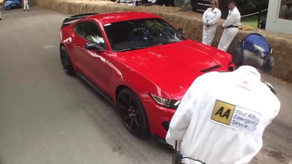 Un tour de circuit à Goodwood pour la Mustang Shelby GT350R