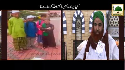 Kya Parinda Bhi Zikrullah Karta Hai - Madani Muzakra - Maulana Ilyas Qadri