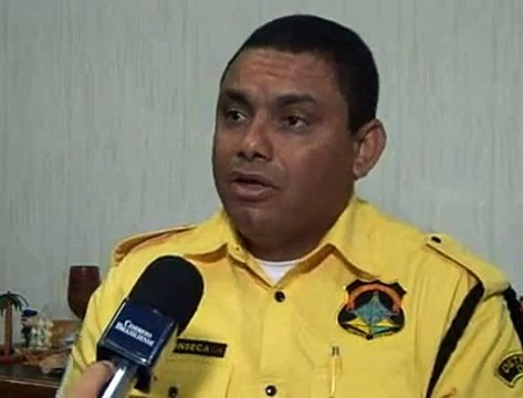 Jornal Local - Faixa de pedestre