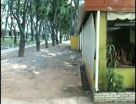 Jornal local: Puxadinhos Asa Sul