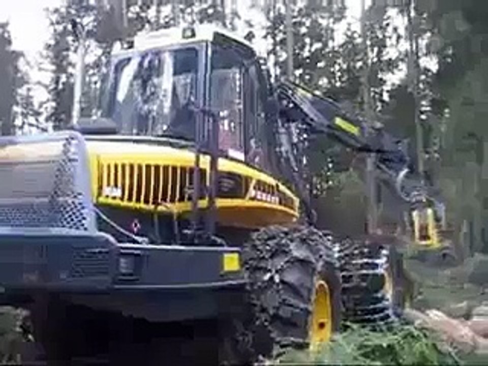 Cutting Tree New