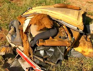 Jornal local: Fiscalização Agefis