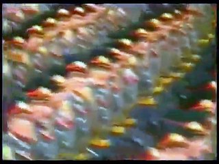 Soviet Hell March, (1990) Parade