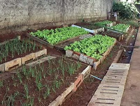 Jornal local: Escola Planaltina