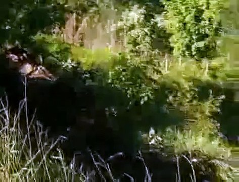 Jornal local; Acidente Varjão