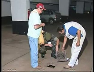 Jornal local: Dengue