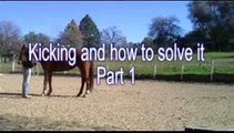 Horse Kicking, Solving the problem with Mike Hughes