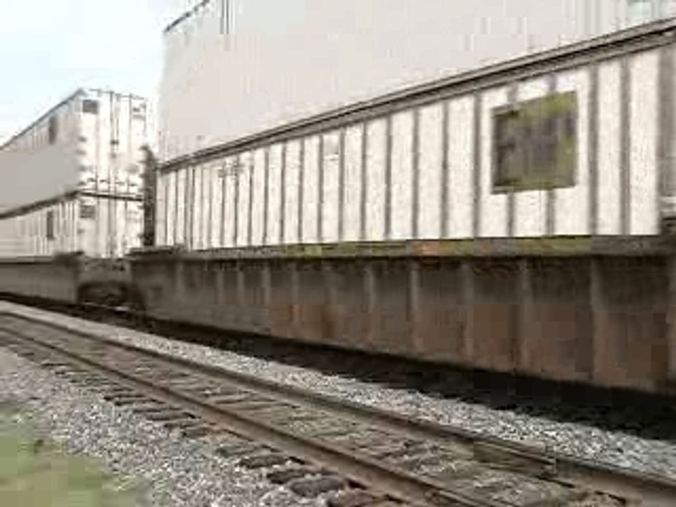 NS #204