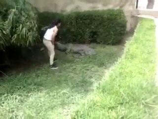 Elle va caresser un crocodile dans un zoo