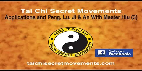 Tai Chi Secret Movements, Applications & Peng, Lu, Ji & An With Master Hiu (3)