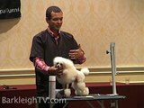 Balance on a Poodle - Sasha Riess (Grooming with European Flair, Groom Expo 2009)