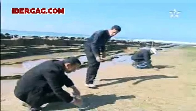 Maroc _ Des empreintes de dinosaures découvertes au large d'Agadir(1)