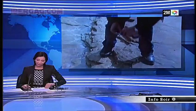 Maroc _ Des empreintes de dinosaures découvertes au large d'Agadir