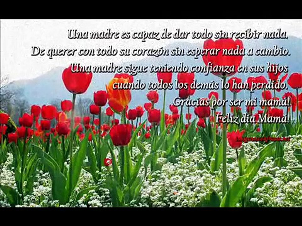 feliz día de la madre (musica por el dia de la madre)