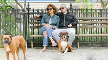 Jennifer Lopez y Casper Smart se ven muy cómodos en parque de perros