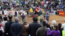 Palio degli asini di Mendrisio - 25.05.2013