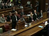 Oscar Pistorius Pre-Sentencing Arguments: Thursday 16 October 2014, Session 2