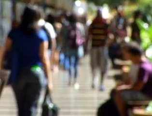 Jornal local: Passe livre