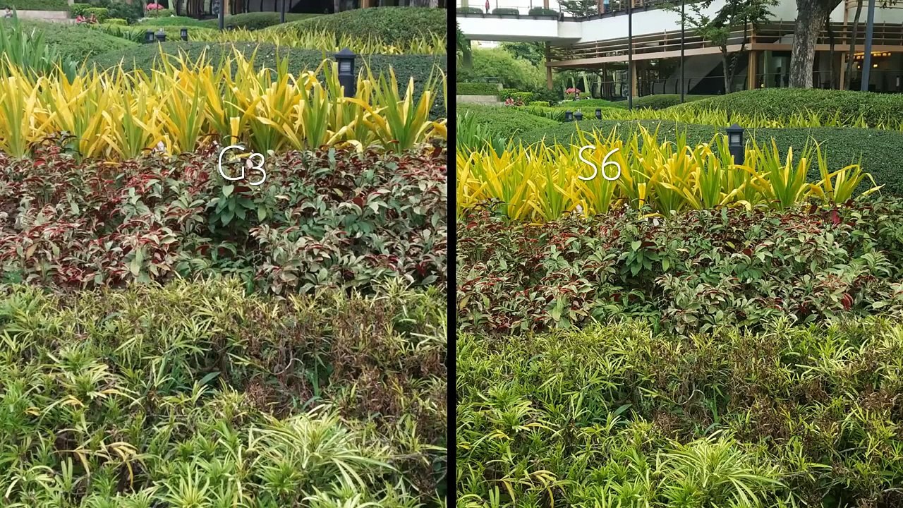 LG G3 13 MP vs Galaxy S6 16 MP rear facing camera comparison