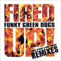 Funky Green Dogs - Fired Up (Junior Vasquez Club Twilo Mix)
