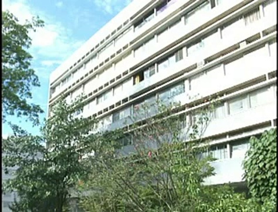 Jornal local: novidade 113 sul