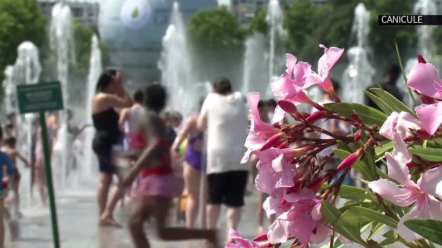 AFP - Le JT, 1ère édition du jeudi 2 juillet