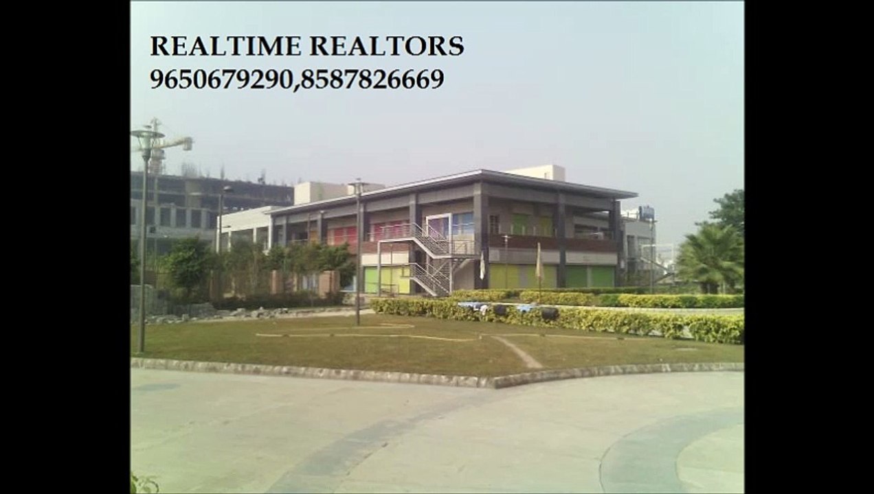 rodeo drive sec 49 gurgaon/REALTIME REALTORS 9650679290