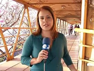 Jornal local: Passarela Candangolândia