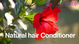 Natural Home Made Hair Conditioner